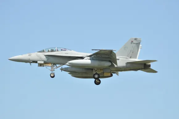 BetSofa Cazino Cazinou Suport